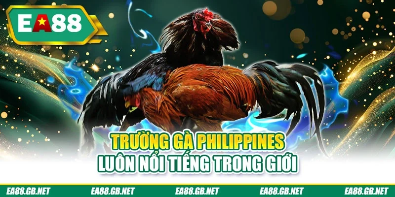 Đá Gà Trực Tiếp 2026 - Link Xem Nhanh, Hình Ảnh Sắc Nét 3 Trường gà Philippines luôn nổi tiếng trong giới