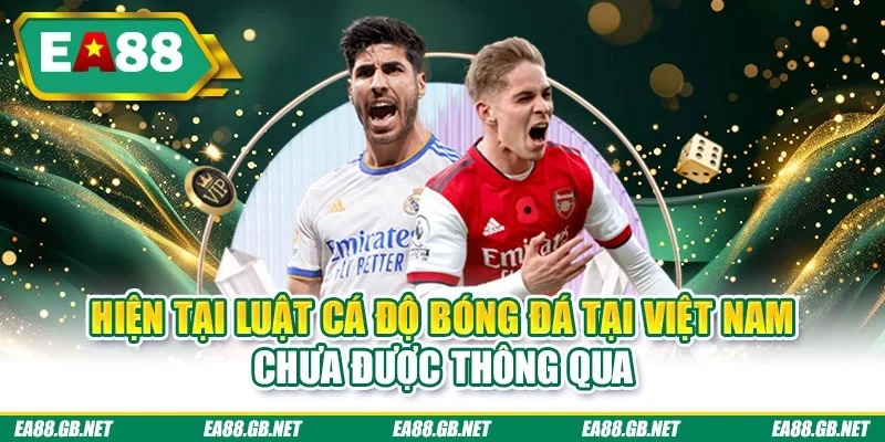 Luật Cá Độ Bóng Đá Tại Việt Nam - Cá Cược Liệu Hợp Pháp? 1 Hiện tại luật cá độ bóng đá tại Việt Nam chưa được thông qua