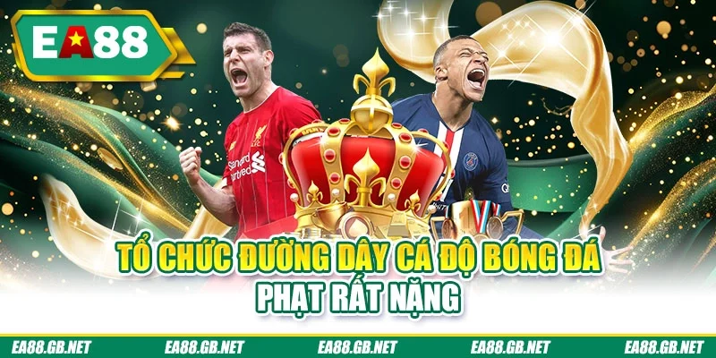 Luật Cá Độ Bóng Đá Tại Việt Nam - Cá Cược Liệu Hợp Pháp? 2 Tổ chức đường dây cá độ bóng đá phạt rất nặng